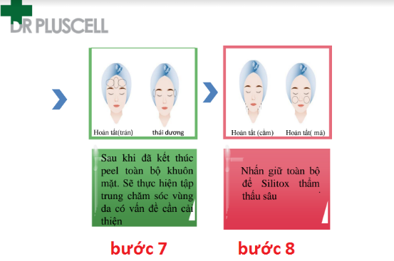 hướng dẫn sử dụng vi kim tảo biển